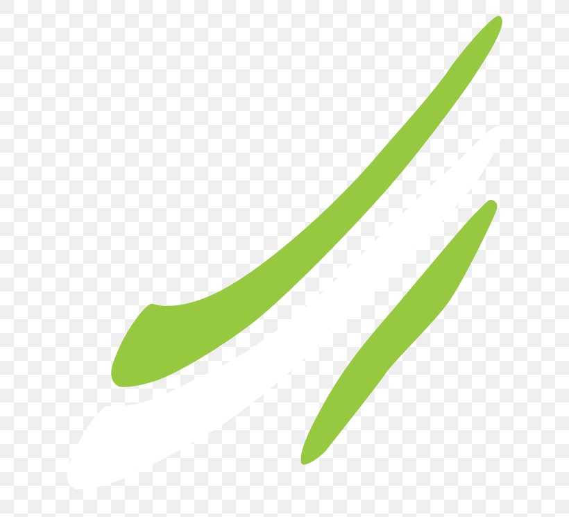 Leaf Font, PNG, 684x745px, Leaf, Grass, Wing Download Free