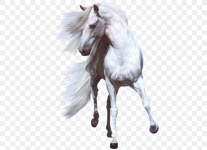 American Paint Horse Horses Hinny White Black, PNG, 455x595px, American Paint Horse, Animal, Black, Equestrianism, Hinny Download Free