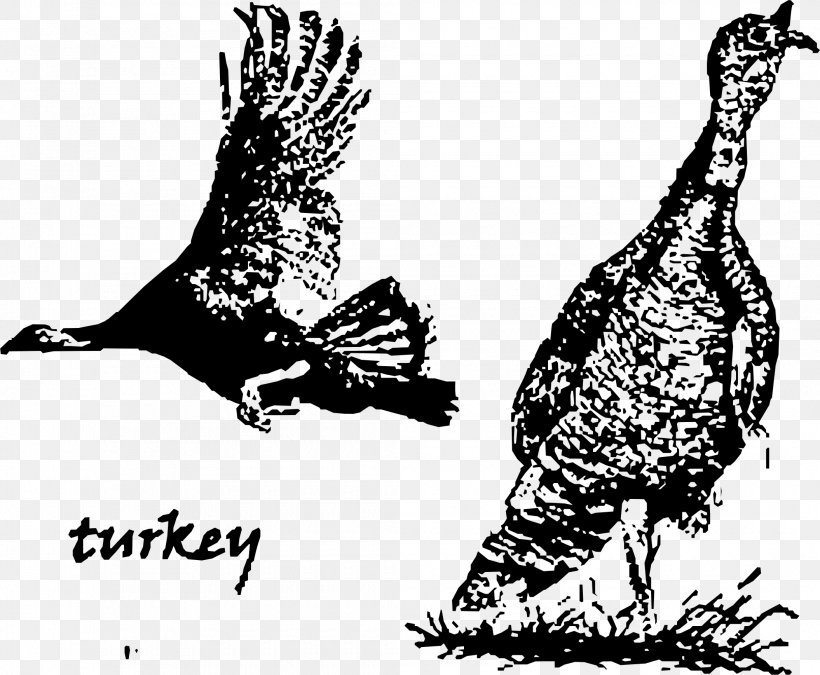 Bird Turkey Drawing Clip Art, PNG, 2110x1737px, Bird, Art, Beak, Bird Of Prey, Black And White Download Free