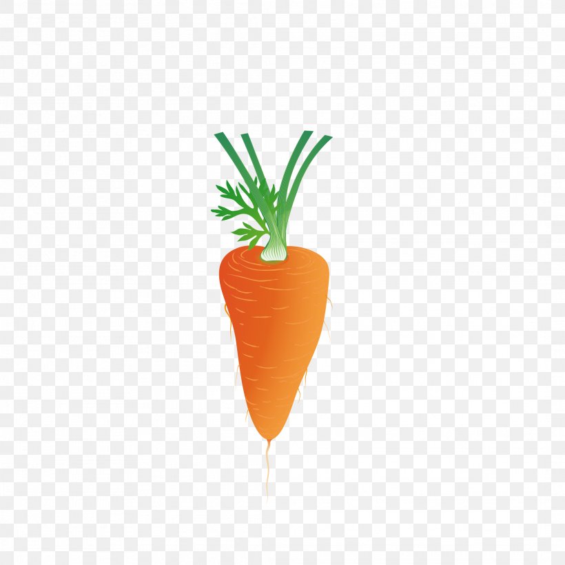 Carrot Euclidean Vector Download Clip Art, PNG, 2126x2126px, Carrot, Food, Fruit, Heart, Orange Download Free
