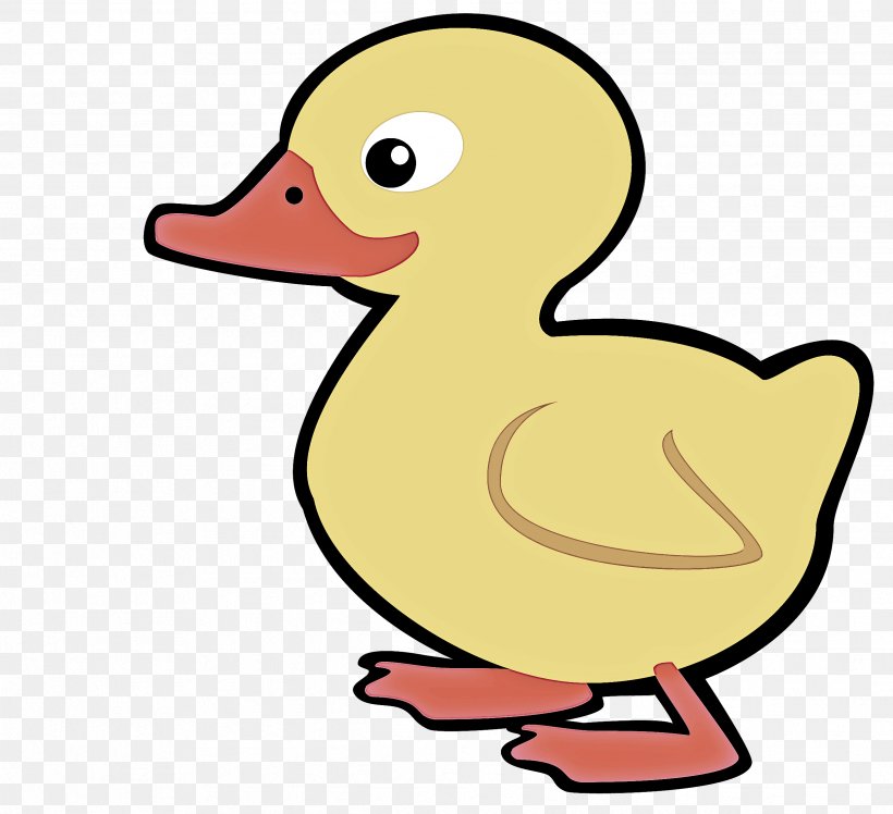 Duck Bird Ducks, Geese And Swans Water Bird Beak, PNG, 2483x2267px, Duck, Beak, Bird, Cartoon, Ducks Geese And Swans Download Free