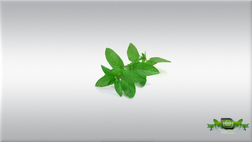 Linux Mint Plant Herb Wallpaper, PNG, 1920x1080px, Linux Mint, Herb, Leaf, Linux, Plant Download Free