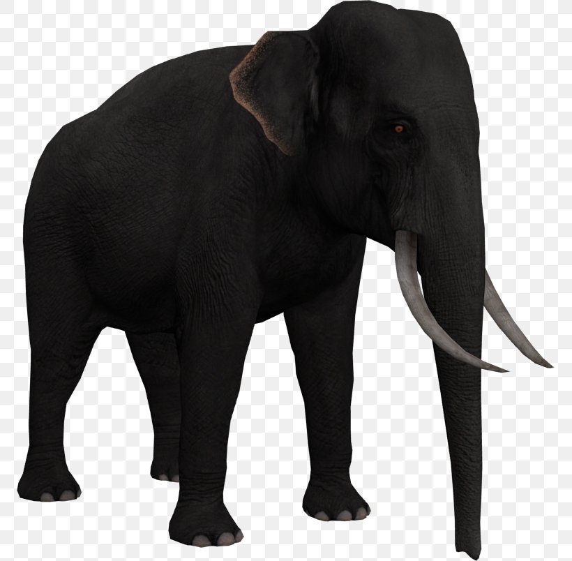 Elephant Background, PNG, 771x804px, Indian Elephant, African Elephant, Animal, Animal Figure, Black Download Free