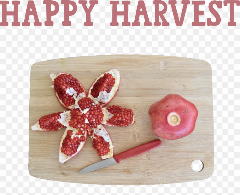 Happy Harvest Harvest Time, PNG, 3000x2438px, Happy Harvest, Apple, Citrus, Dietary Fiber, Fruit Download Free