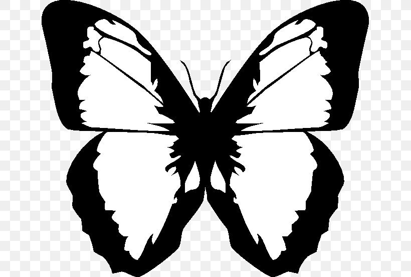 Paper Sticker Decal Stock.xchng Image, PNG, 653x552px, Paper, Blackandwhite, Brand, Brushfooted Butterfly, Business Cards Download Free