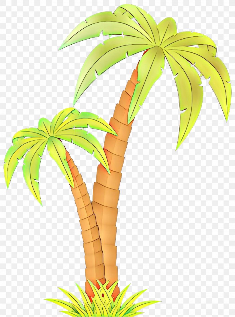 Clip Art Vector Graphics Image Palm Trees, PNG, 2222x3000px, Palm Trees, Arecales, Botany, Cartoon, Coconut Download Free