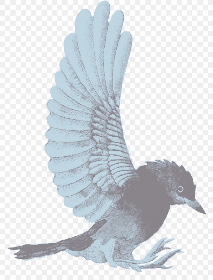 Watercolor Painting Bird Design Creativity, PNG, 2342x3079px, Watercolor Painting, Animal, Art, Beak, Bird Download Free