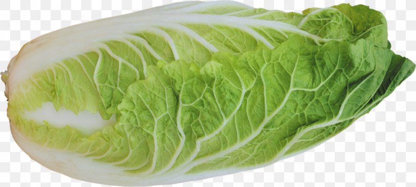 Cruciferous Vegetables Romaine Lettuce Lettuce Sandwich Collard Greens Leaf Vegetable, PNG, 1000x450px, Cruciferous Vegetables, Cabbage, Capitata Group, Collard Greens, Food Download Free