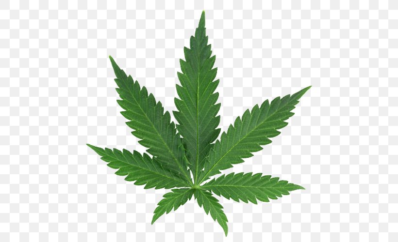 Medical Cannabis Vector Graphics Leaf Clip Art, PNG, 500x500px, Cannabis, Cannabis Industry, Drawing, Drug, Hemp Download Free