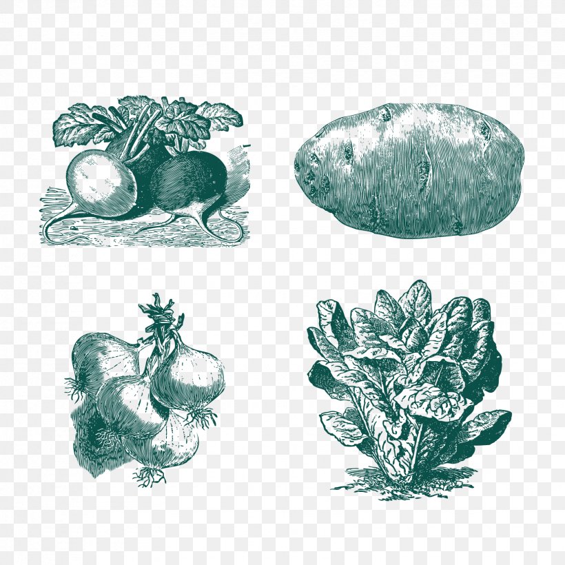 Vegetable Euclidean Vector, PNG, 1654x1654px, Vegetable, Capsicum Annuum, Drawing, Organism, Pixel Download Free