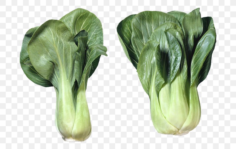 Vietnamese Cuisine Chinese Cabbage Leaf Vegetable, PNG, 760x520px, Vietnamese Cuisine, Bok Choy, Brassica, Cabbage, Chard Download Free