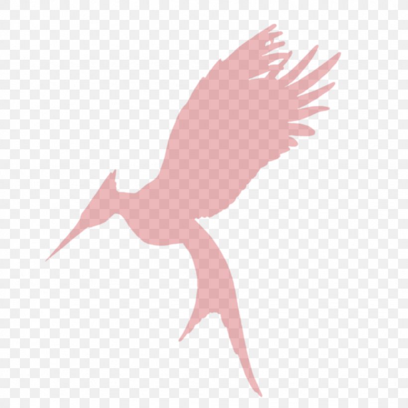 Catching Fire Mockingjay Art Stork Bird, PNG, 1024x1024px, Catching Fire, Art, Beak, Bird, Ciconiiformes Download Free