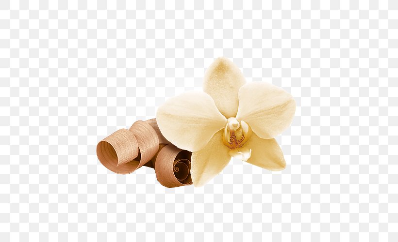 Flower Indian Sandalwood Petal Orchids Eau De Cologne, PNG, 500x500px, Flower, Color, Eau De Cologne, Flavor, Gold Download Free