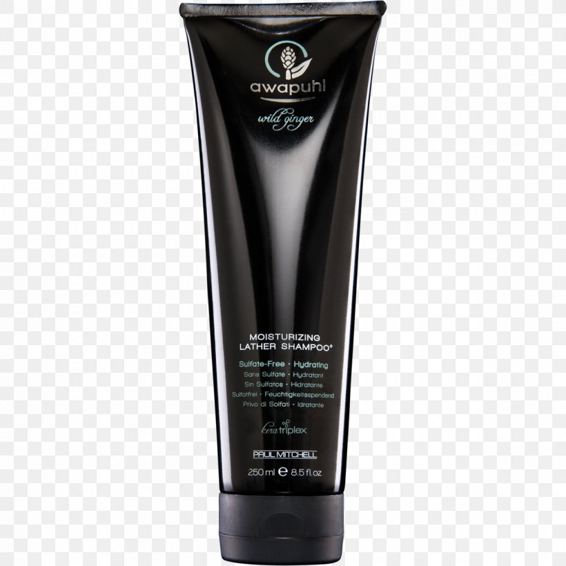 Paul Mitchell Awapuhi Wild Ginger Moisturizing Lather Shampoo Hair Care Bitter Ginger Hair Conditioner, PNG, 1200x1200px, Hair Care, Beauty Parlour, Bitter Ginger, Body Wash, Hair Download Free