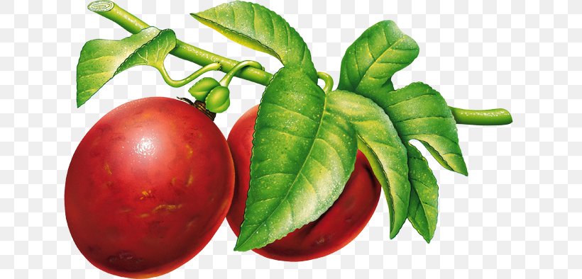Plum Lossless Compression Clip Art, PNG, 640x394px, Plum, Bell Peppers And Chili Peppers, Bush Tomato, Data, Diet Food Download Free