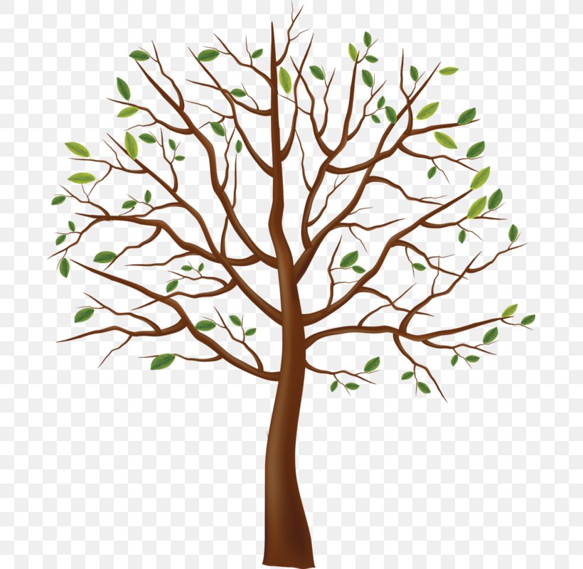 Tree Branch Clip Art, PNG, 687x800px, Tree, Branch, Flower, Fruit Tree, Leaf Download Free