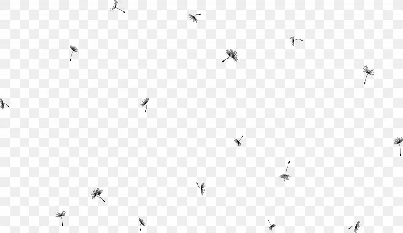 Line Point Angle Black And White, PNG, 2898x1677px, Point, Area, Black, Black And White, Floor Download Free