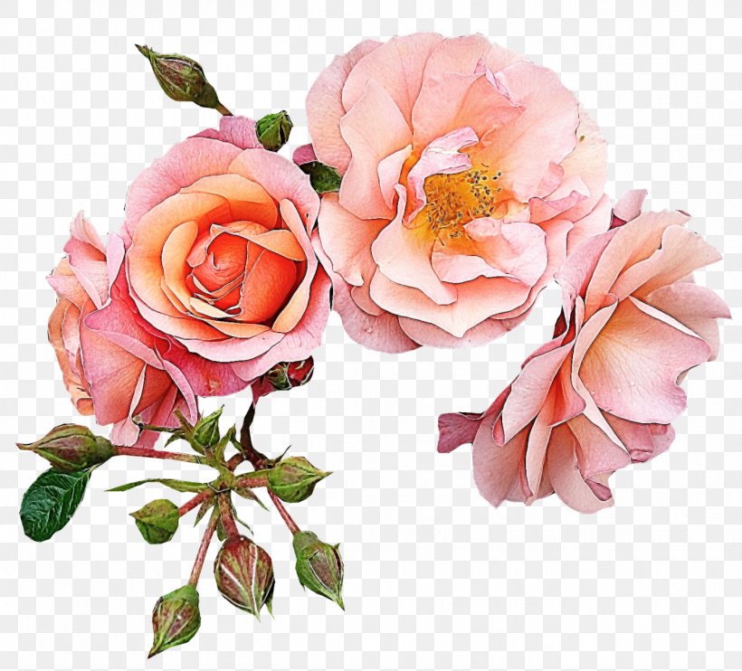 Garden Roses Flower Pink Clip Art, PNG, 1355x1227px, Garden Roses, Artificial Flower, Cut Flowers, Drawing, Floral Design Download Free