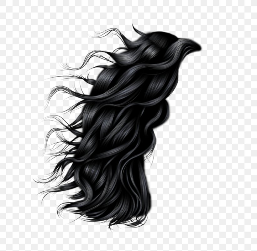 Hairstyle Image File Formats Clip Art, PNG, 700x802px, Hair, Black, Black And White, Black Hair, Brown Hair Download Free