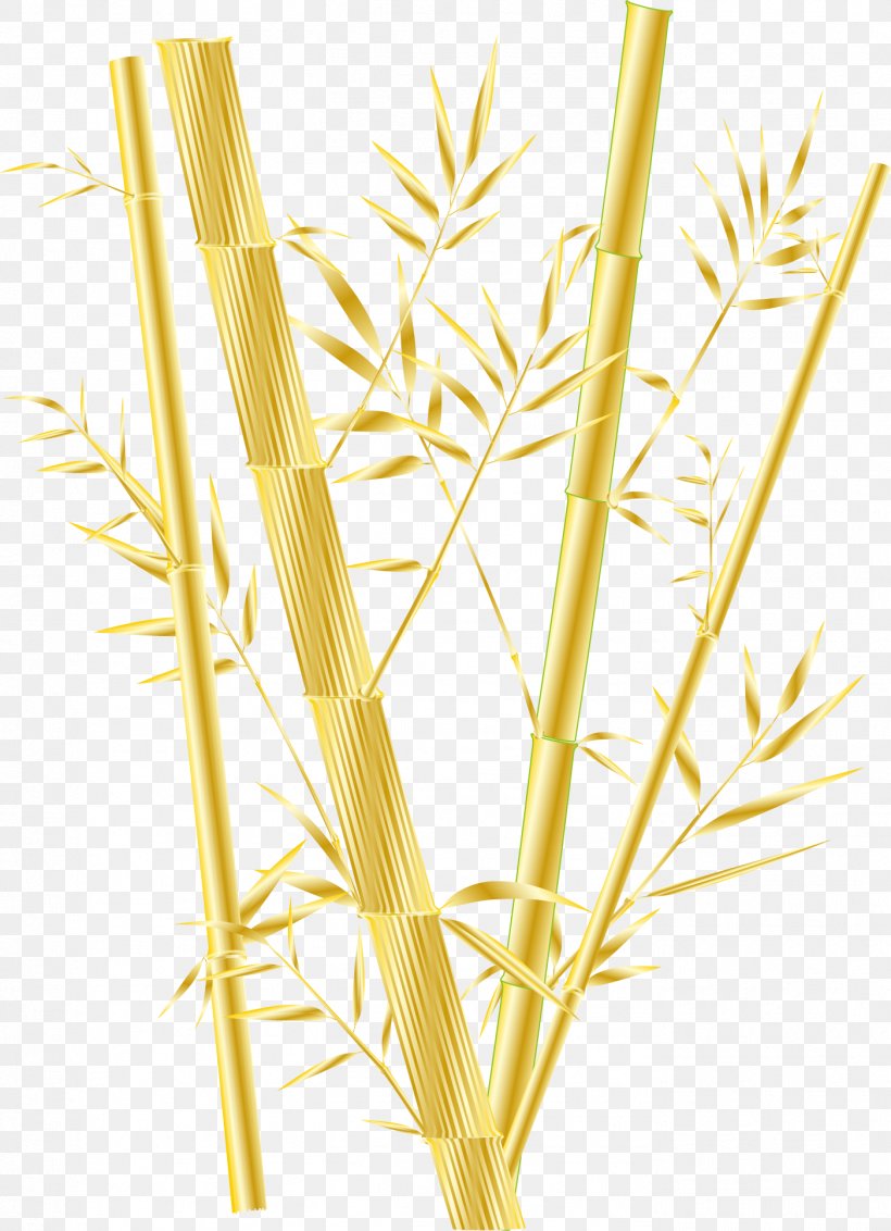 Bamboo Phyllostachys Aurea Gold, PNG, 1401x1935px, Bamboo, Bamboe, Commodity, Gold, Grass Download Free