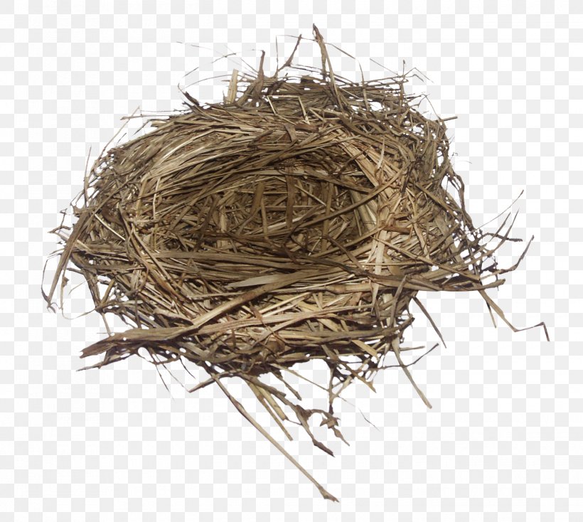 Bird Nest Bird Nest, PNG, 1420x1272px, 3d Computer Graphics, Bird, Bird Nest, Birdcage, Clutch Download Free