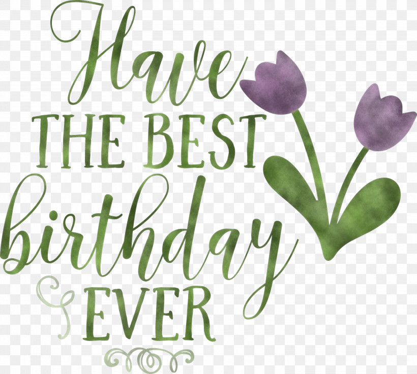 Birthday Best Birthday, PNG, 3000x2699px, Birthday, Biology, Cut Flowers, Floral Design, Flower Download Free