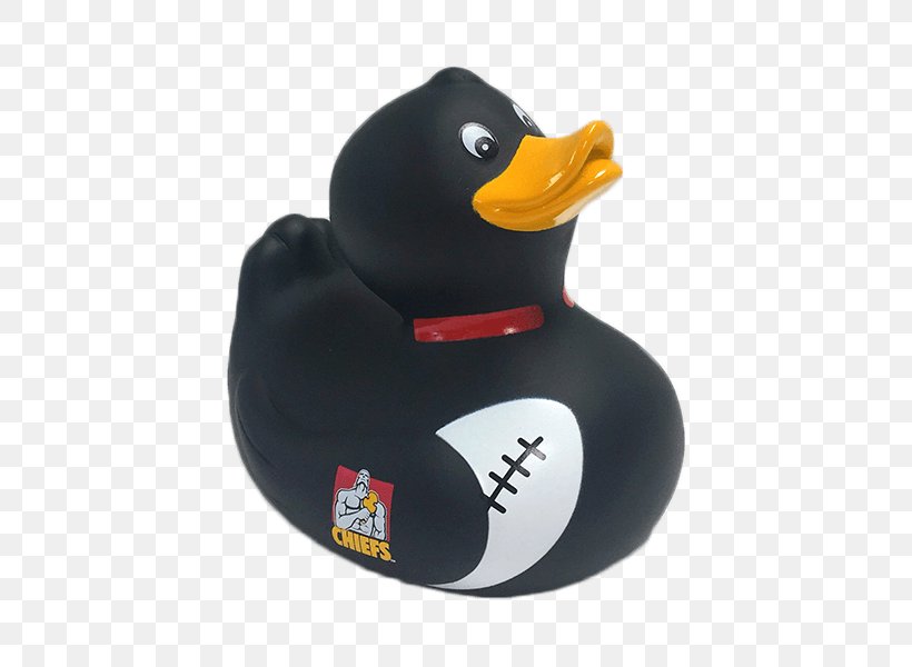 New Zealand National Rugby Union Team Highlanders Crusaders Super Rugby Duck, PNG, 600x600px, Highlanders, Basketball, Beak, Bird, Com Download Free
