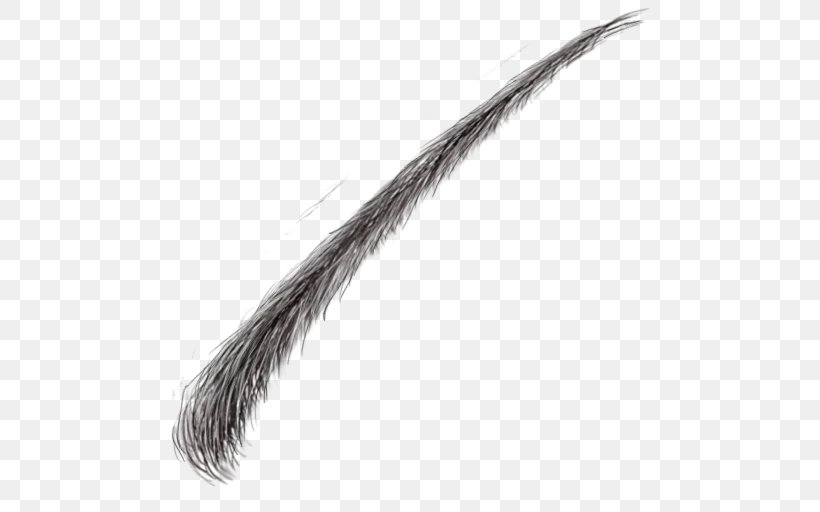 Eyebrow Hair Face, PNG, 512x512px, Eyebrow, Black And White, Color, Dimple, Eye Download Free