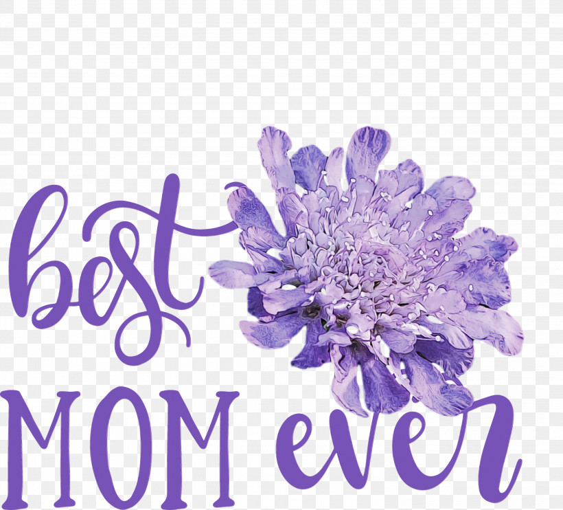 Lavender, PNG, 3000x2716px, Mothers Day, Best Mom Ever, Biology, Cut Flowers, Flower Download Free