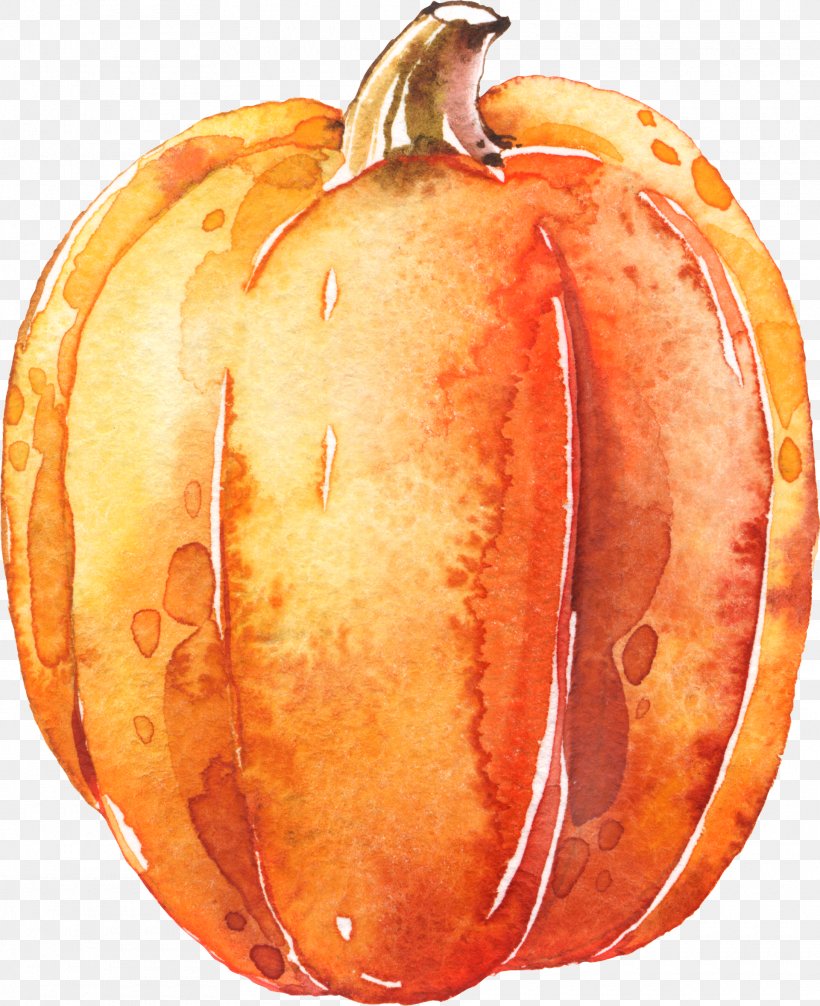 Pumpkin Calabaza Transparent Watercolor Halloween, PNG, 1920x2356px, Pumpkin, Calabaza, Commodity, Cucurbita, Drawing Download Free