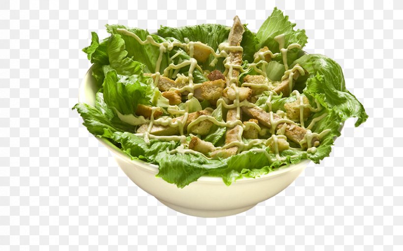 Romaine Lettuce Caesar Salad Waldorf Salad Vegetarian Cuisine, PNG, 850x531px, Romaine Lettuce, Caesar Salad, Cheese, Crouton, Dish Download Free