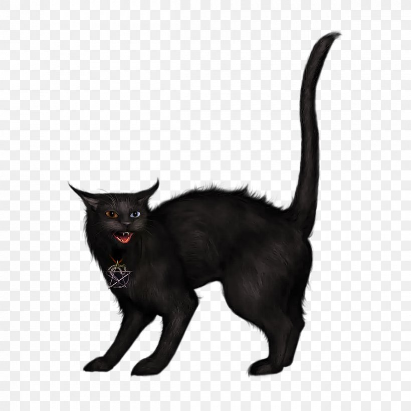 Black Cat Clip Art, PNG, 1200x1200px, Cat, Black Cat, Bombay, Carnivoran, Cat Like Mammal Download Free