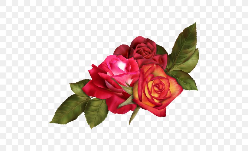 Garden Roses Cut Flowers Floral Design Flower Bouquet, PNG, 500x500px, Garden Roses, Cabbage Rose, Cut Flowers, Digital Image, Display Resolution Download Free