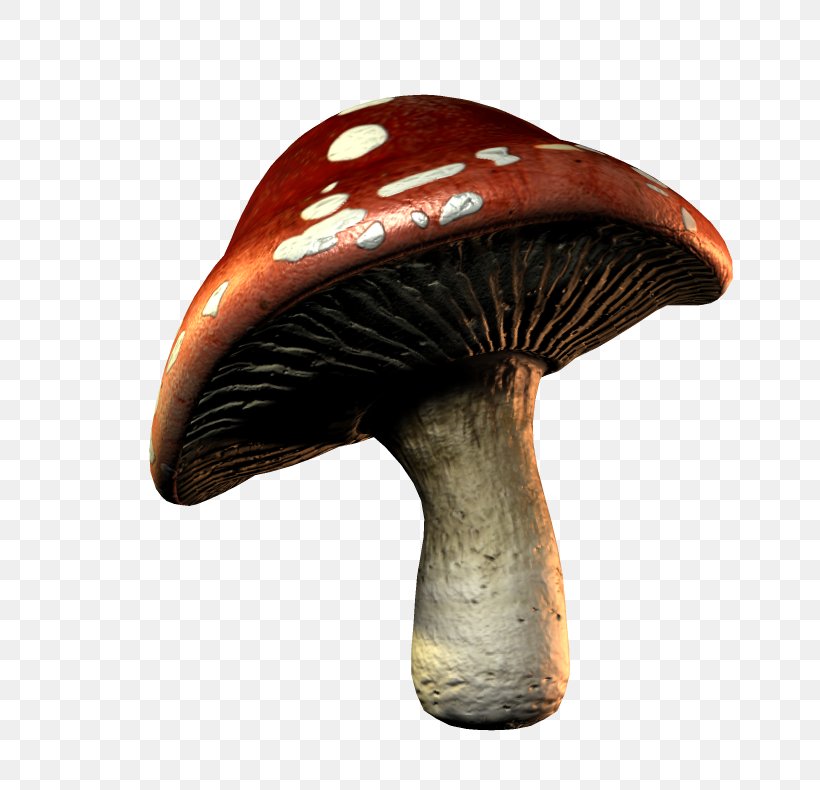 Mushroom Download Clip Art, PNG, 800x790px, Mushroom, Dots Per Inch, Image Resolution, Pixel, Rar Download Free