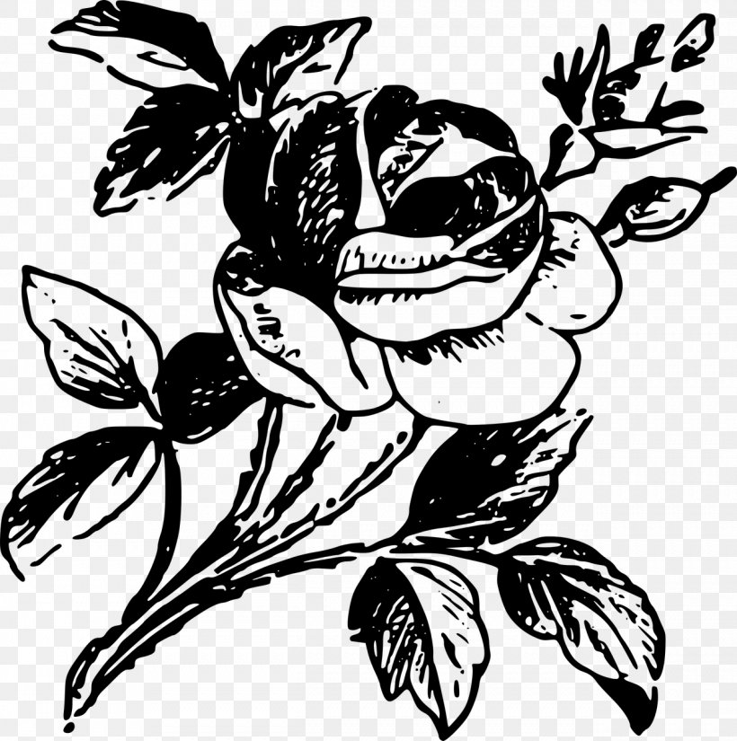 Rose Drawing Clip Art, PNG, 1271x1280px, Rose, Art, Artwork, Bird, Black And White Download Free
