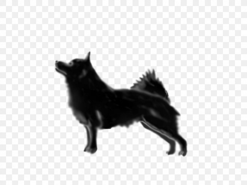 Schipperke Rare Breed (dog) Dog Breed Breed Group (dog) Snout, PNG, 1024x768px, Schipperke, Black, Black And White, Breed, Breed Group Dog Download Free