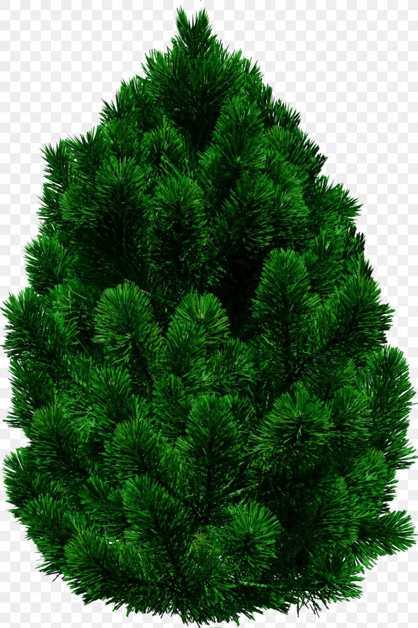 Tree Clip Art, PNG, 900x1350px, Tree, Biome, Christmas Decoration, Christmas Tree, Conifer Download Free