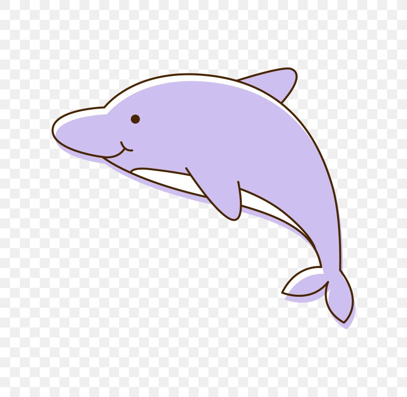 Tucuxi Common Bottlenose Dolphin Cartoon Porpoise Clip Art, PNG, 800x800px, Tucuxi, Cartoon, Child, Comics, Common Bottlenose Dolphin Download Free