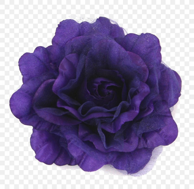 Violet Flower Lilac Lavender Blue, PNG, 1024x1000px, Violet, Blue, Cobalt Blue, Color, Cut Flowers Download Free