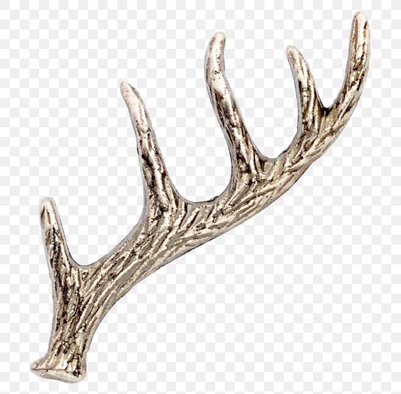 Body Jewellery Silver Human Body Antler Kitchen & Bar, PNG, 805x805px, Jewellery, Antler, Antler Kitchen Bar, Body Jewellery, Body Jewelry Download Free