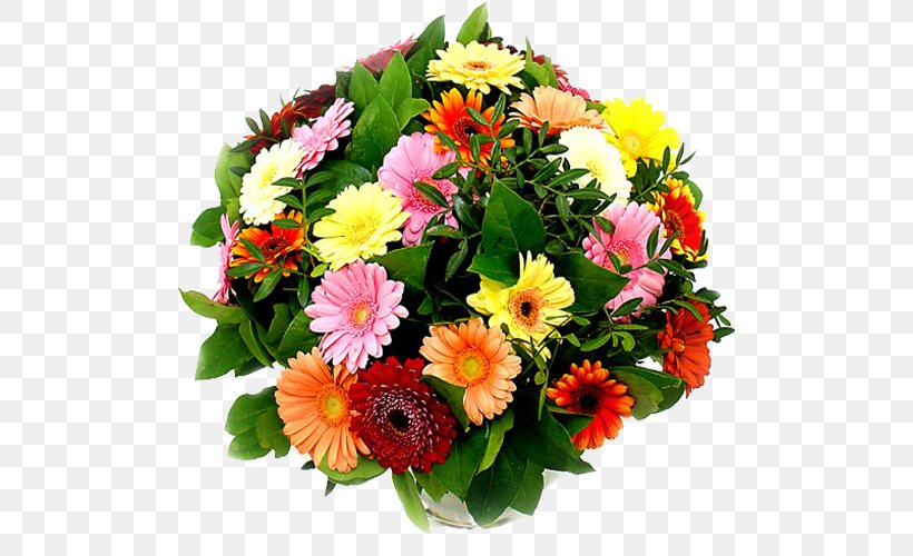 Cut Flowers Flower Bouquet Transvaal Daisy Floristry, PNG, 500x500px, Cut Flowers, Annual Plant, Artificial Flower, Birthday, Bloemisterij Download Free