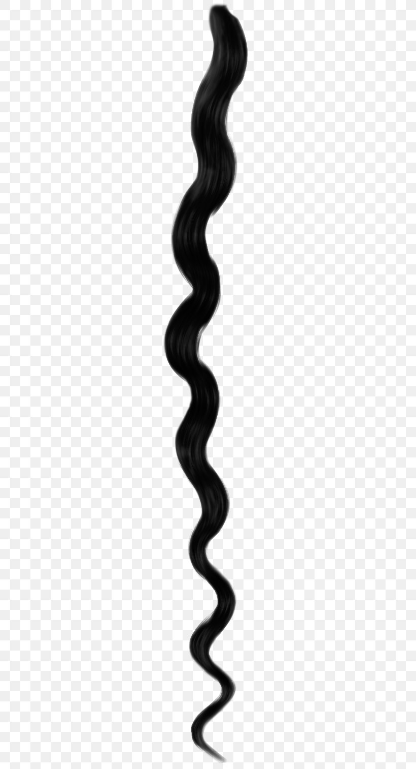 Hairstyle Long Hair NaturallyCurly.com, PNG, 260x1513px, Hairstyle, Black And White, Black Hair, Capelli, Flapper Download Free