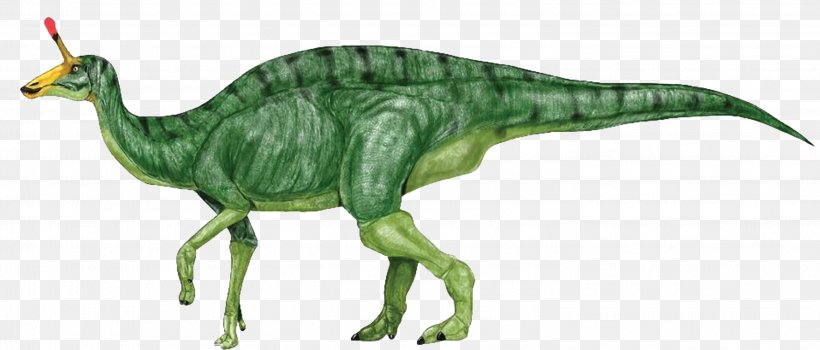 Tsintaosaurus Amurosaurus Jaxartosaurus Iguanodontia Corythosaurus, PNG, 2991x1279px, Tsintaosaurus, Animal Figure, Cerapoda, Corythosaurus, Cretaceous Download Free