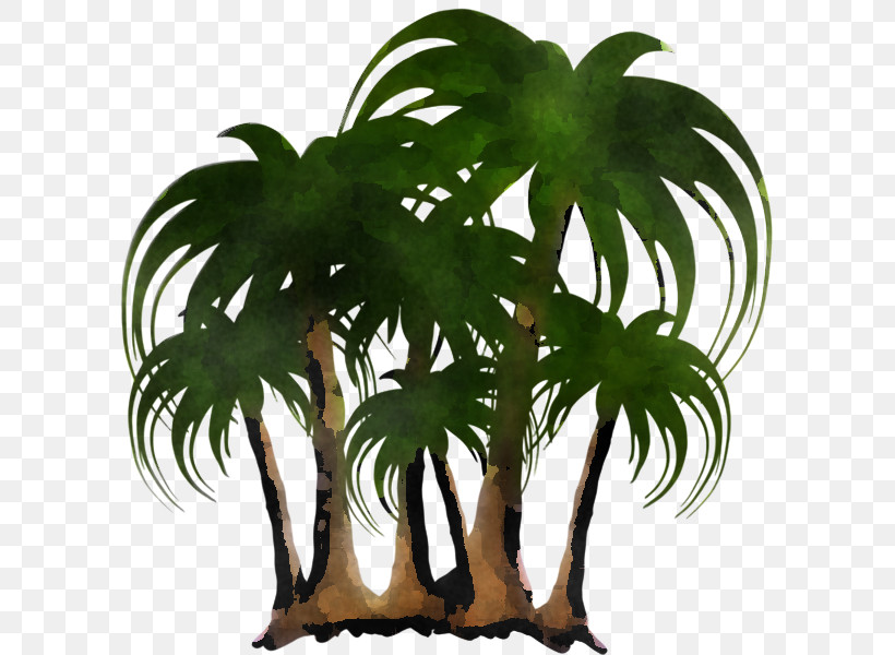 Palm Tree, PNG, 600x600px, Tree, Alismatales, Arecales, Arum Family, Elaeis Download Free