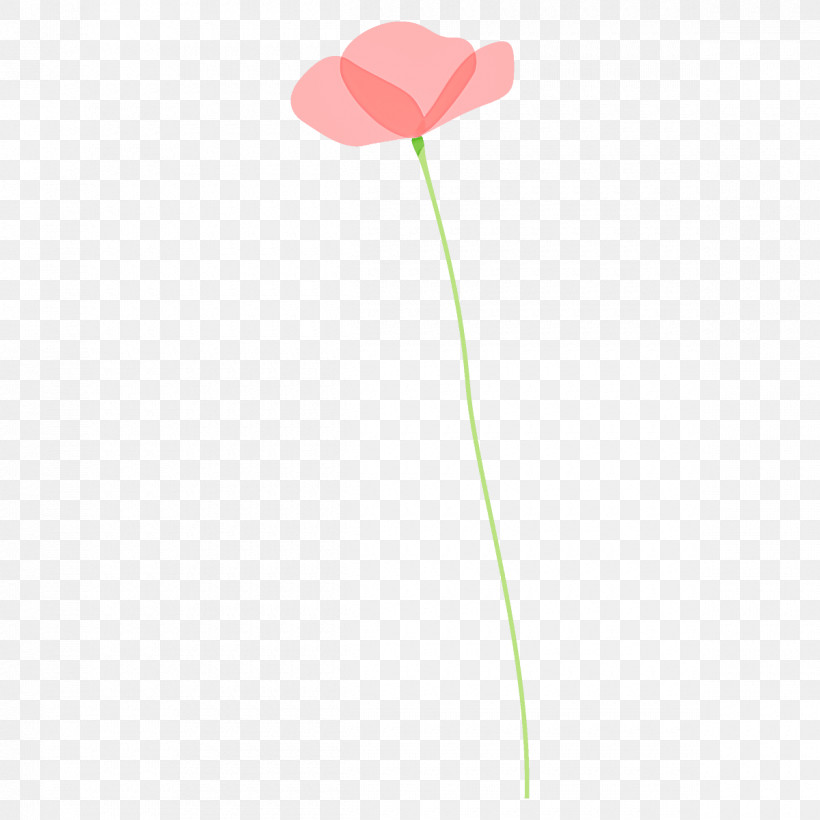Poppy Flower, PNG, 1200x1200px, Poppy Flower, Anthurium, Flower, Leaf, Pedicel Download Free