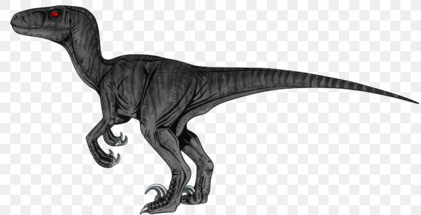 Velociraptor Tyrannosaurus Dinosaur Deinonychus Dryptosaurus, PNG, 1005x514px, Velociraptor, Animal Figure, Black, Blue, Color Download Free