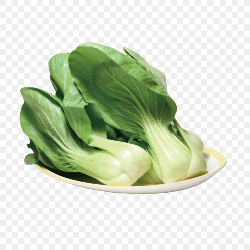 Bok Choy Napa Cabbage Vegetable Rapeseed Chinese Cabbage, PNG, 1181x1181px, Bok Choy, Brassica, Brassica Rapa, Cabbage, Cabbage Family Download Free