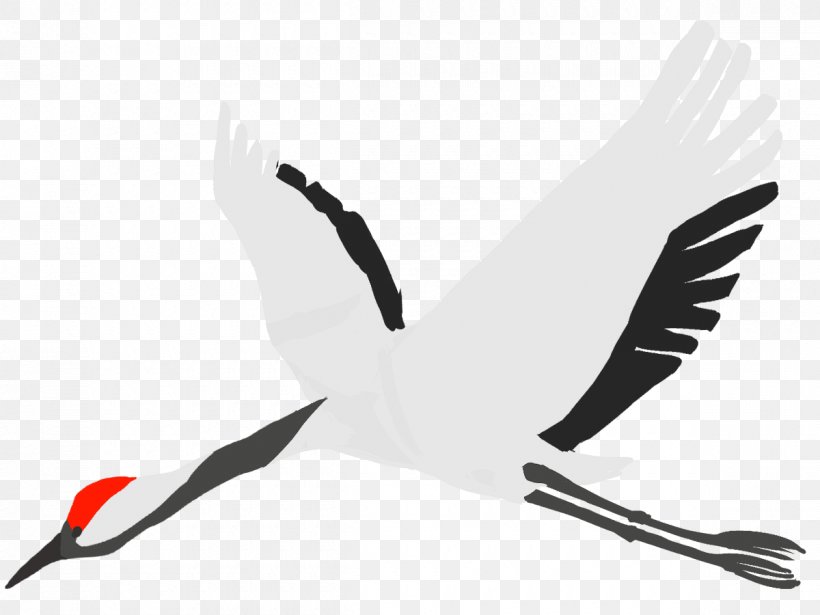 Crane Water Bird, PNG, 1200x900px, Crane, Anatidae, Animal, Beak, Bird Download Free
