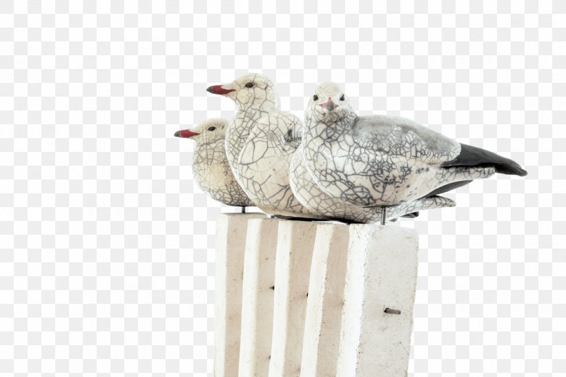 European Herring Gull Mouette Gulls Bird Ceramic, PNG, 1800x1200px, European Herring Gull, Animal, Artist, Barnacle Goose, Beak Download Free