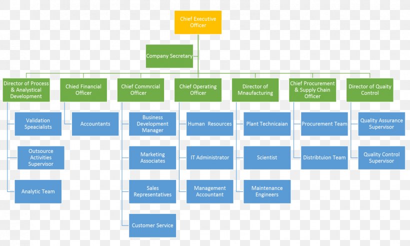 Business Organizational Chart Of A Company